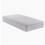 نوجوان آریانا