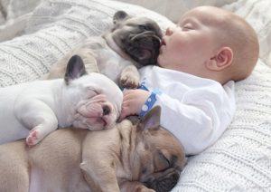 نوزاد خوابیده در کنار سگ