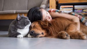 کاهش استرس بخاطر خوابیدن در کنار حیوانات خانگی
