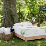 تشک دوستدار محیط زیست