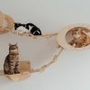 طراحی فضا برای حیوانات خانگی با 7 نکته کاربردی طراحی فضا برای حیوانات خانگی