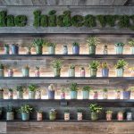 دکوراسیون وگان