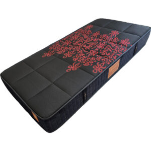 تشک طبی فنری صادراتی دوطرفه فیارست – مدل آلپینا